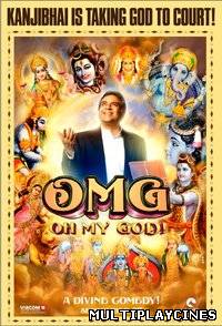 Ver OMG Oh My God! (2012) Online Gratis