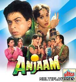 Ver Anjaam (1994) Online Gratis