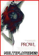 Ver Prowl (Almas oscuras) (2010) Online Gratis
