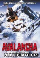 Ver Avalancha: Pánico en la cumbre Online Gratis