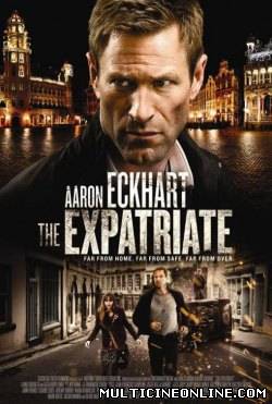 Ver El último testigo / The Expatriate (AKA Erased) (2012) Online Gratis