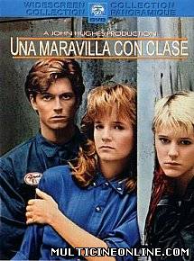 Ver Una maravilla con clase (1987) Online Gratis