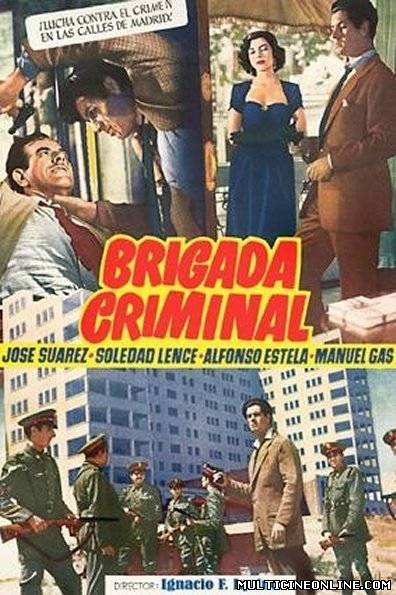 Ver Brigada criminal (1950) Online Gratis