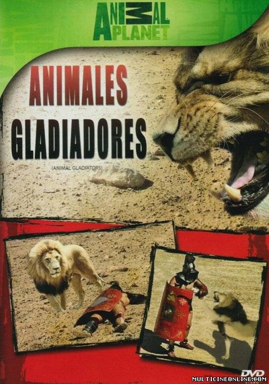 Ver Animales gladiadores (Animal Gladiators) (2008) Online Gratis