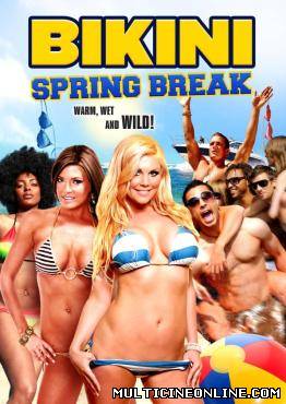 Ver Bikini Spring Break (2012) Online Gratis