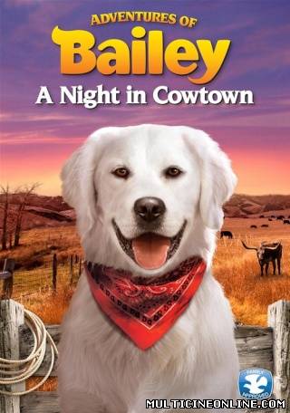 Ver Adventures of Bailey: A Night in Cowtown (2013) Online Gratis