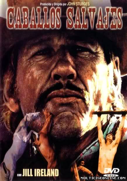 Ver Caballos salvajes: Chino (1973) Online Gratis