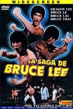 Ver La saga de Bruce Lee (1977) Online Gratis