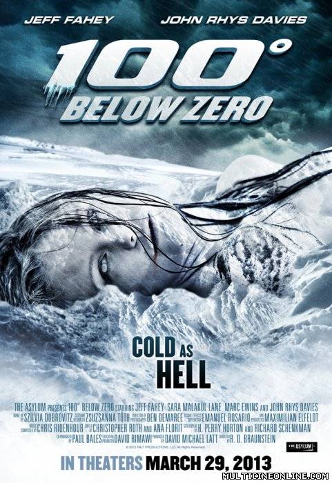 Ver 100 Degrees Below Zero (2013) Online Gratis