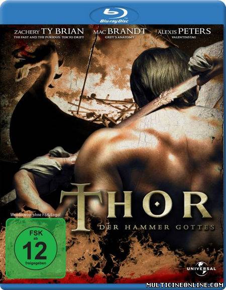 Ver Thor: Hammer of the Gods (2009) Online Gratis