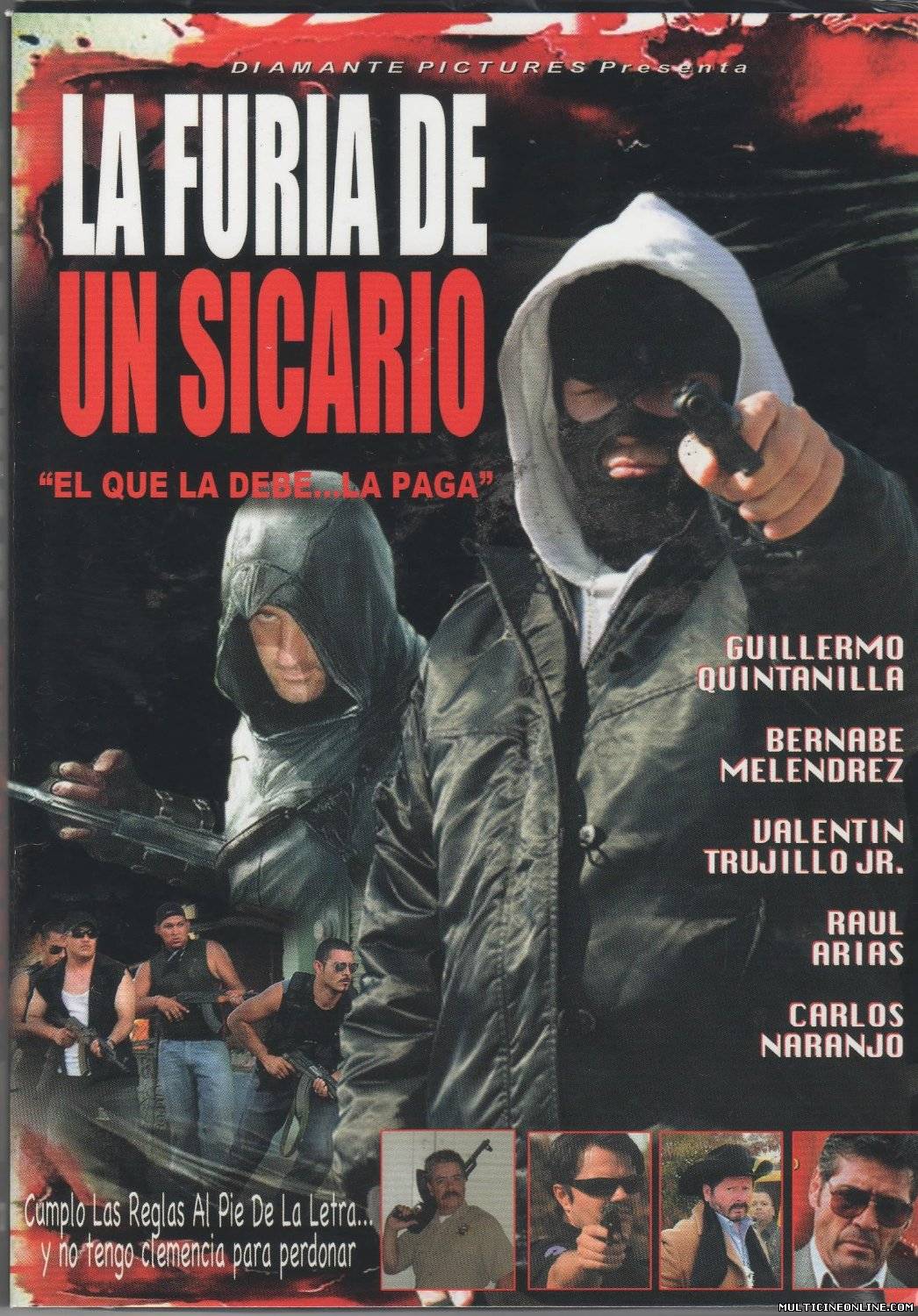 Ver La furia de un Sicario (2013) Online Gratis