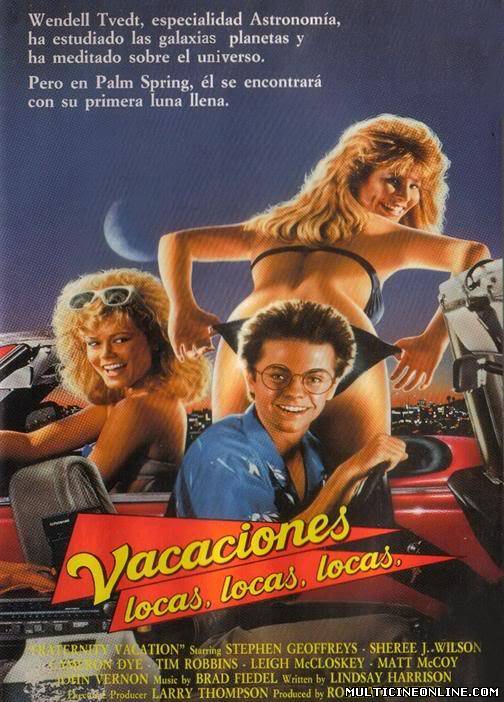 Ver Vacaciones locas, locas, locas (1985) Online Gratis