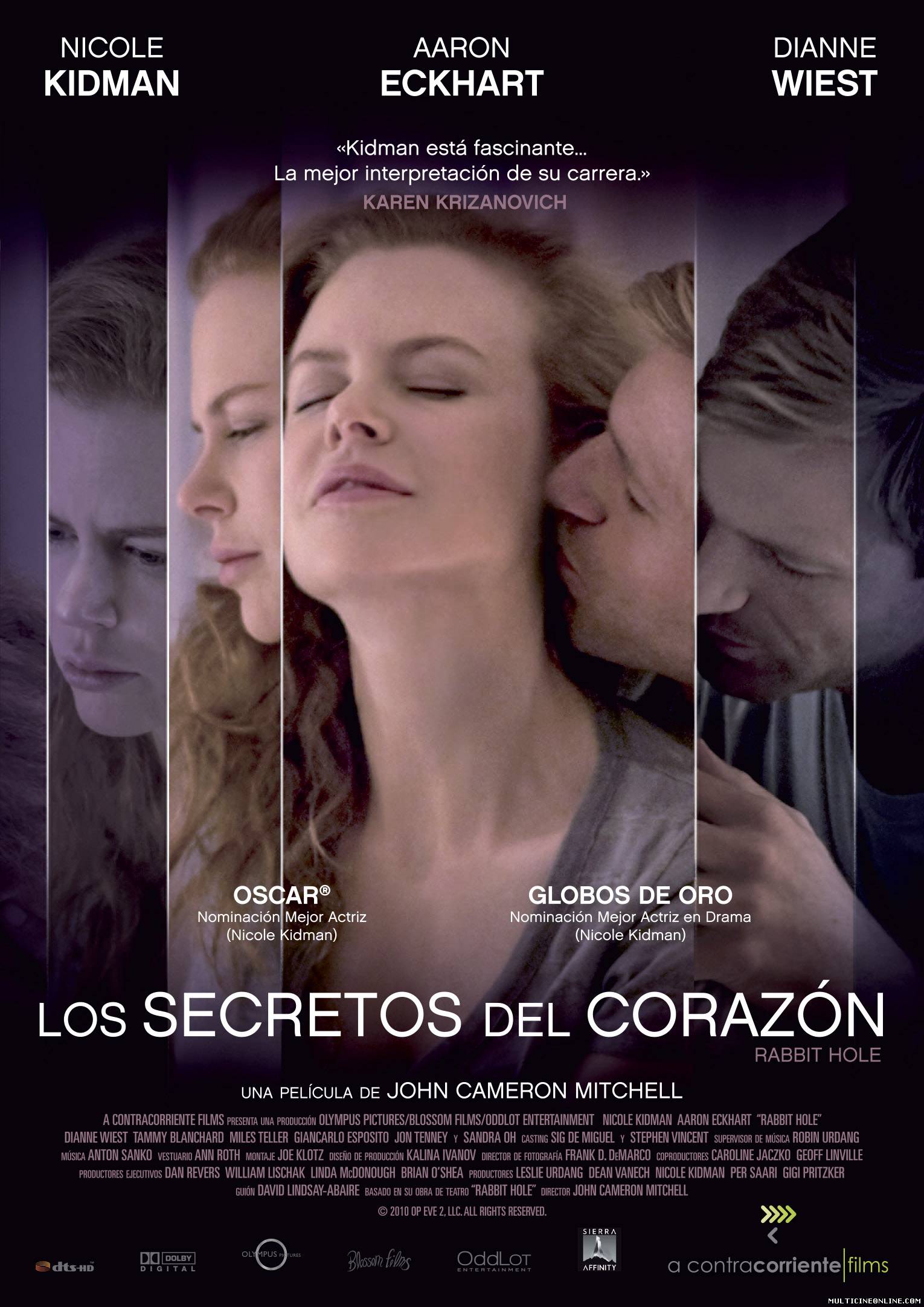 Ver Los secretos del corazón (Rabbit Hole) (2010) Online Gratis