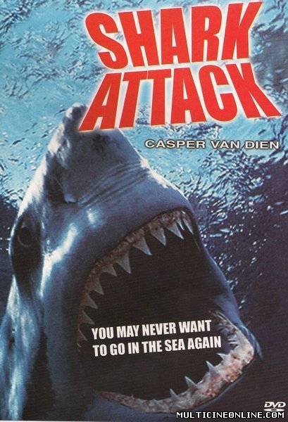 Ver Shark Attack (1999) Online Gratis