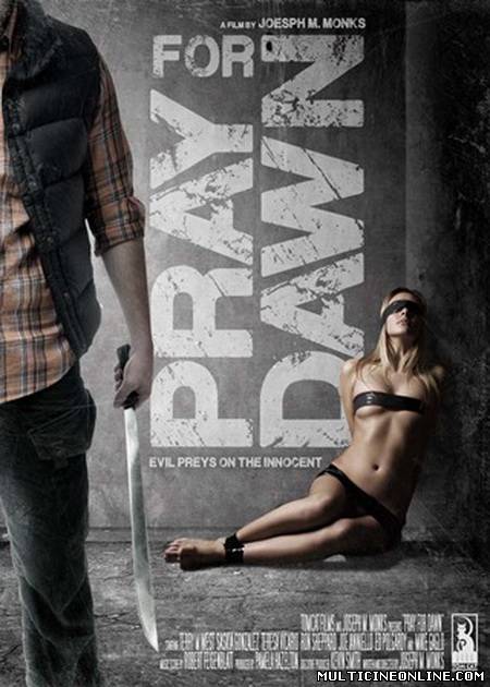 Ver Pray for Dawn (2011) Online Gratis