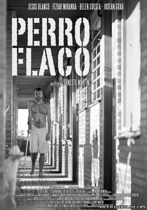 Ver Perro Flaco (2012) Online Gratis