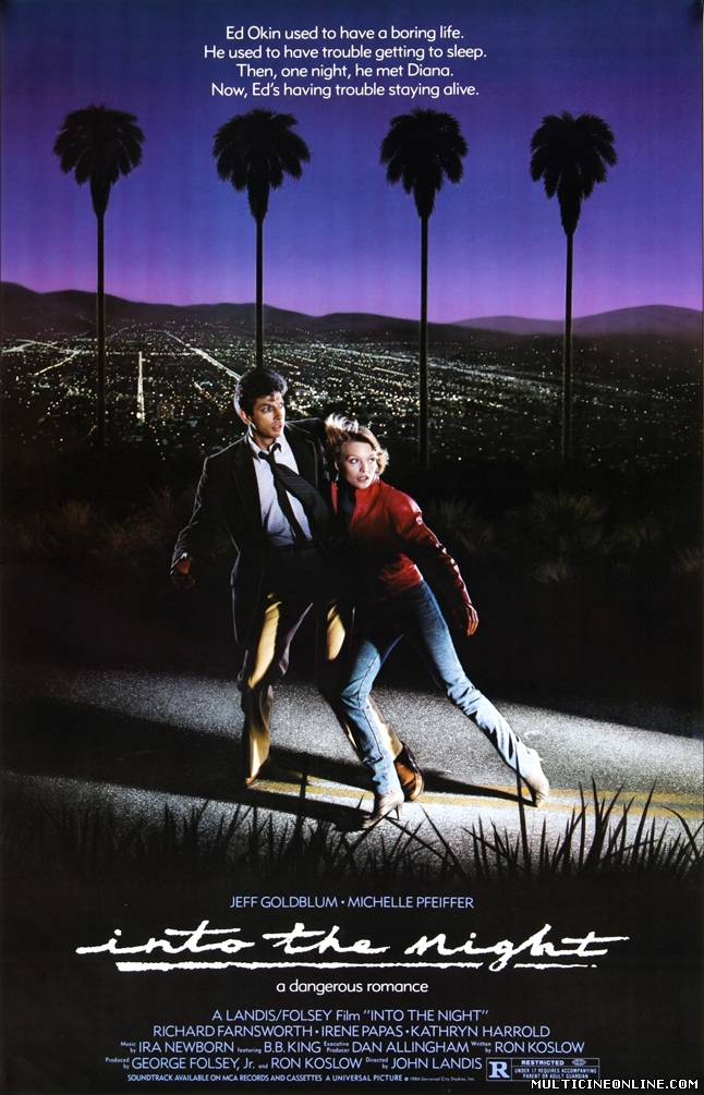 Ver Cuando llega la noche (Into the Night) (1985) Online Gratis