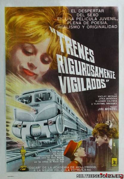 Ver Trenes rigurosamente vigilados (1966) Online Gratis