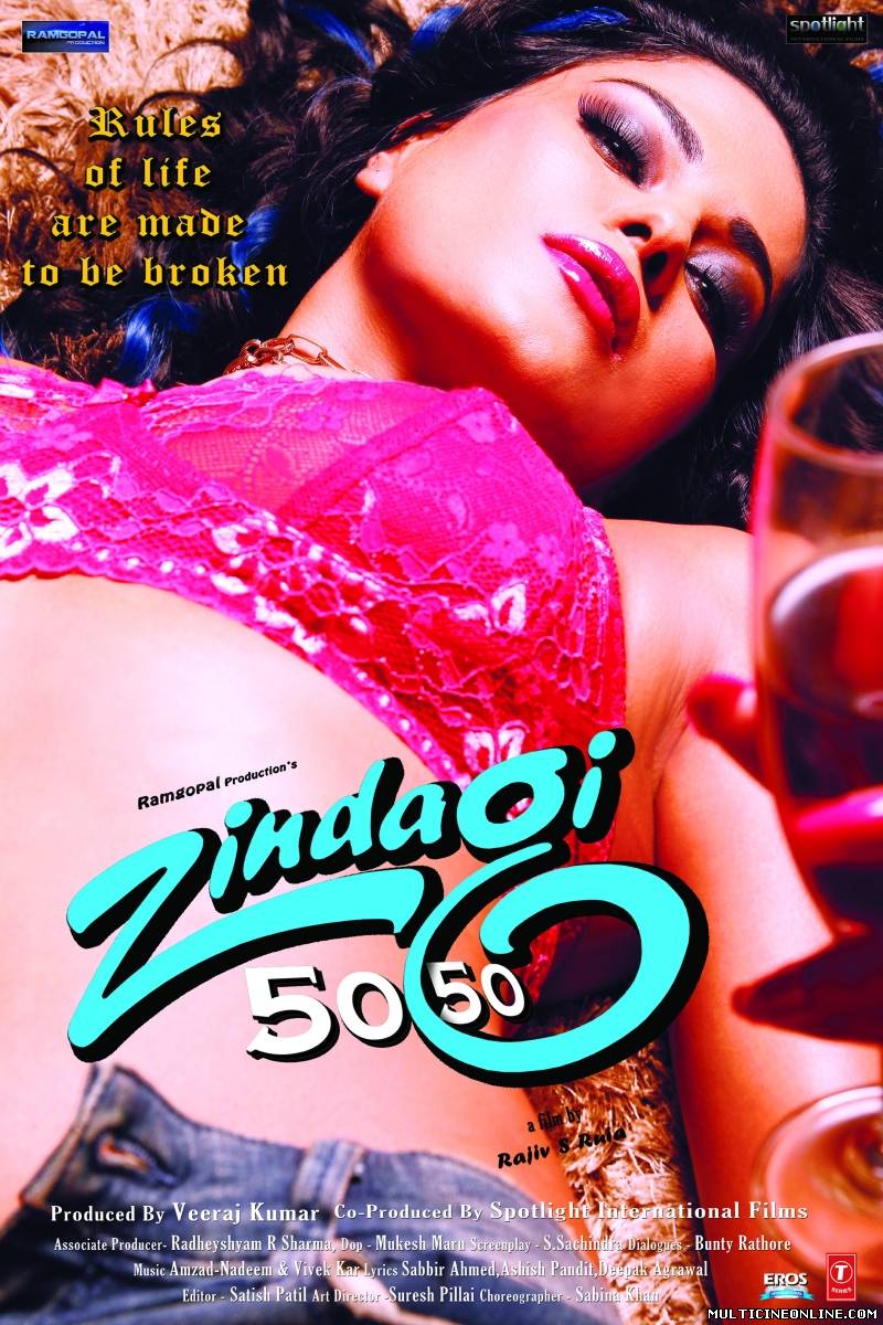 Ver Zindagi 50 50 (2013) Online Gratis