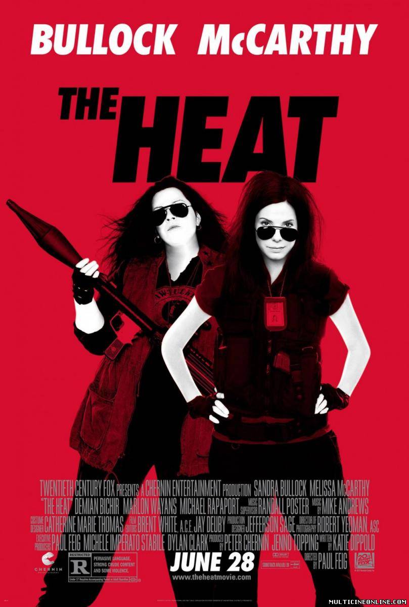 Ver Cuerpos especiales (The heat) (2013) Online Gratis