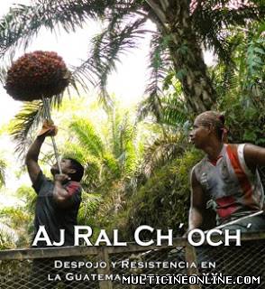 Ver Aj Ral Ch´ Och´ Hijos E Hijas De La Tierra (2012) Online Gratis