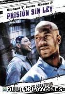 Ver Prisión sin ley Online Gratis