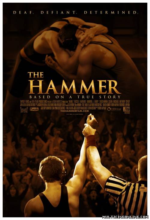 Ver The Hammer (2010) Online Gratis