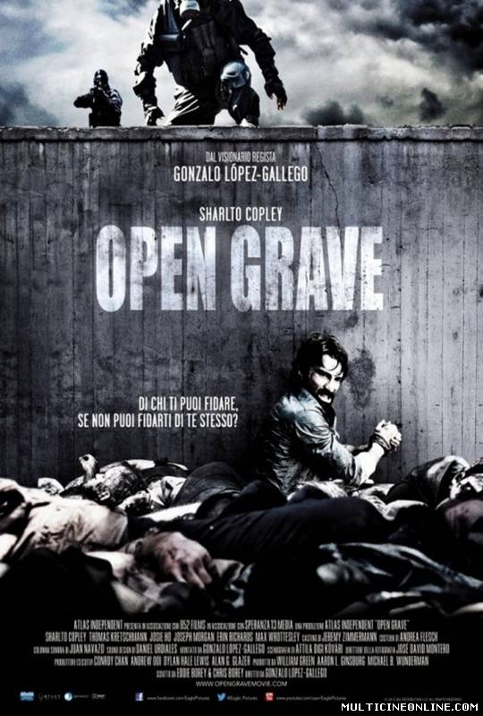 Ver Open grave (2013) Online Gratis