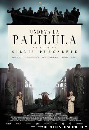 Ver En algún lugar de Palilula (Undeva la Palilula (Somewhere in Palilula)) (2012) Online Gratis