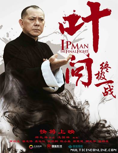 Ver Ip Man: The Final Fight (2013) Online Gratis