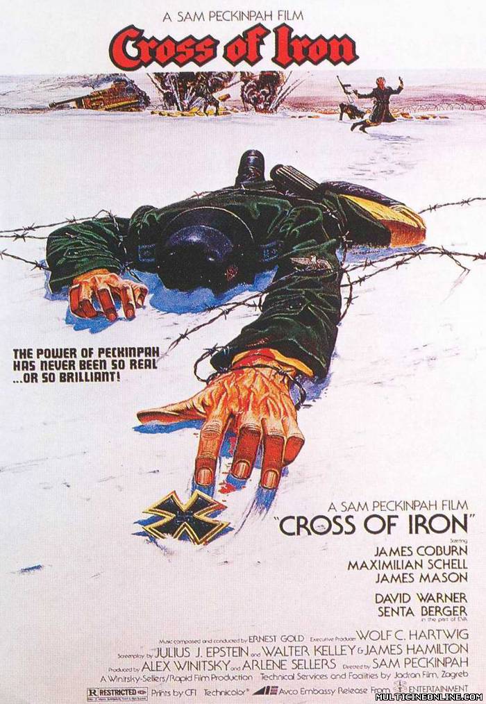 Ver La cruz de hierro (Cross of Iron) (1977) Online Gratis