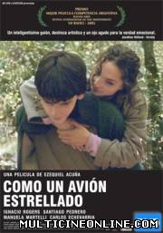 Ver Como un Avión Estrellado (2005) Online Gratis