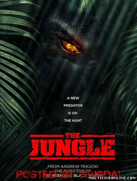Ver La Jungla (The Jungle) (2013) Online Gratis
