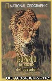 Ver Leopardo: La noche del cazador (1998) Online Gratis