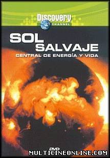 Ver Sol Salvaje (1999) Online Gratis