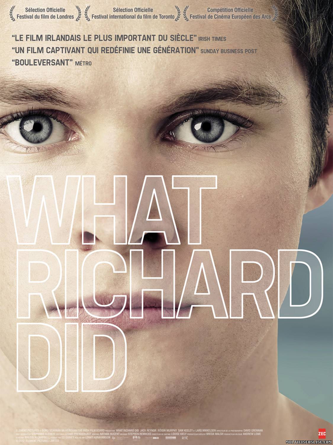 Ver What Richard Did (2012) Online Gratis