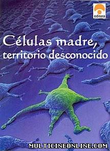 Ver Células madre, territorio desconocido (2007) Online Gratis