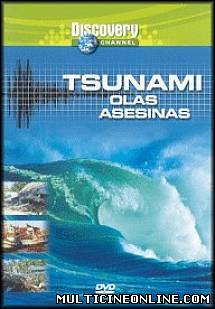 Ver Tsunami: Olas Asesinas (2001) Online Gratis