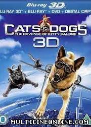 Ver Como perros y gatos: La revancha de Kitty Galore (2010) (3D SBS) Online Gratis