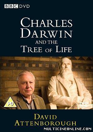 Ver Charles Darwin y el árbol de la vida (2009) Online Gratis