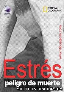 Ver Estrés, peligro de muerte (2008) Online Gratis