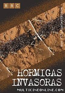 Ver Hormigas invasoras (2006) Online Gratis