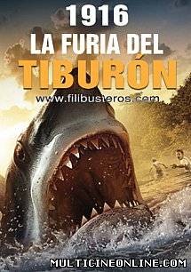 Ver 1916. La furia del tiburón (2009) Online Gratis