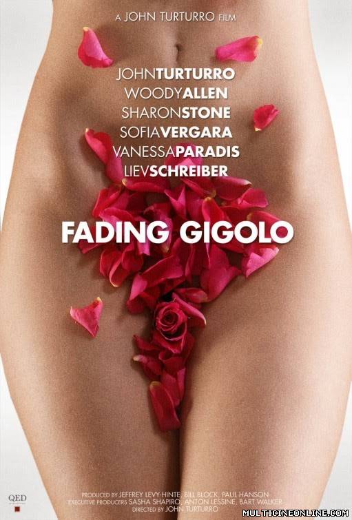 Ver Fading Gigolo (Aprendiz de gigoló) (2013) Online Gratis