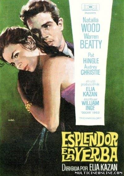 Ver Esplendor en la hierba (1961) Online Gratis