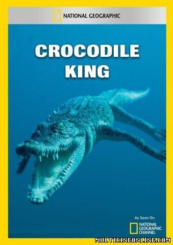 Ver El rey cocodrilo (2010) Online Gratis