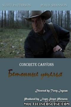 Ver En defensa de mi hijo (Concrete Canyons) (2010) Online Gratis