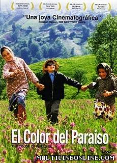 Ver El color del paraíso (1999) Online Gratis