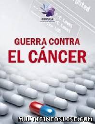 Ver Guerra contra el cáncer (2006) Online Gratis