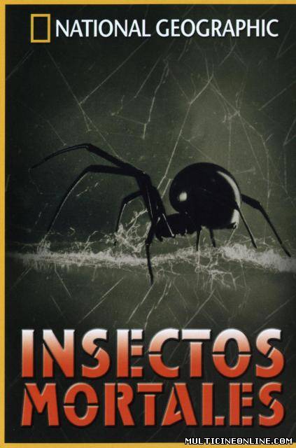 Ver Insectos Mortales (2003) Online Gratis